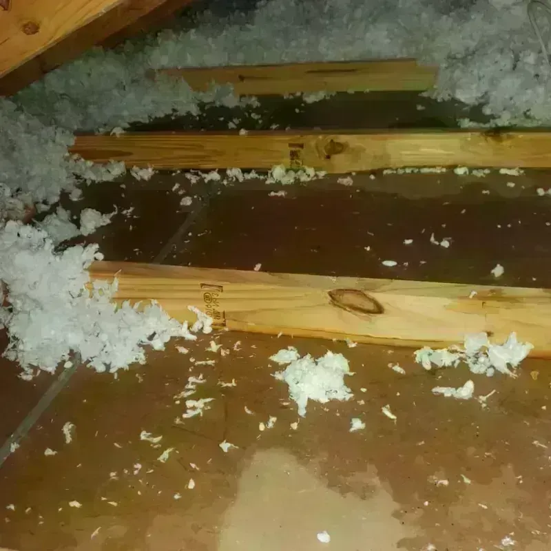 Attic Water Damage in Canton, SD