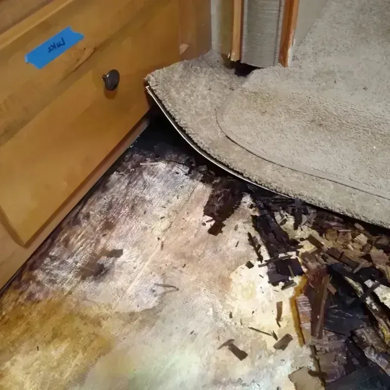 Wood Floor Water Damage in Canton, SD